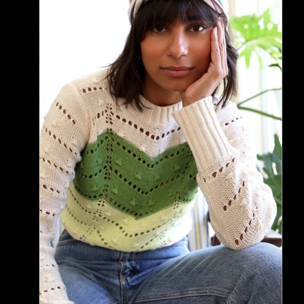 Greylin Juno Pointelle Chevron Knit Sweater green white L